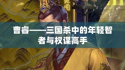 曹?！龂鴼⒅械哪贻p智者與權謀高手