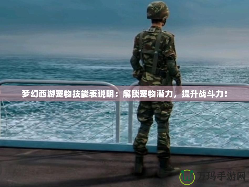 夢幻西游寵物技能表說明：解鎖寵物潛力，提升戰斗力！
