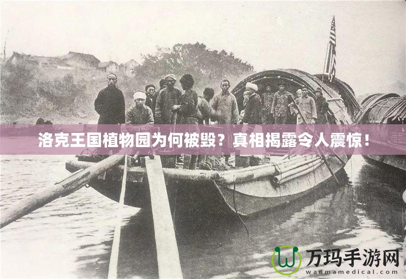洛克王國植物園為何被毀？真相揭露令人震驚！
