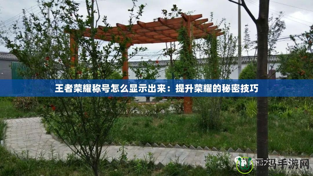 王者榮耀稱號(hào)怎么顯示出來(lái)：提升榮耀的秘密技巧
