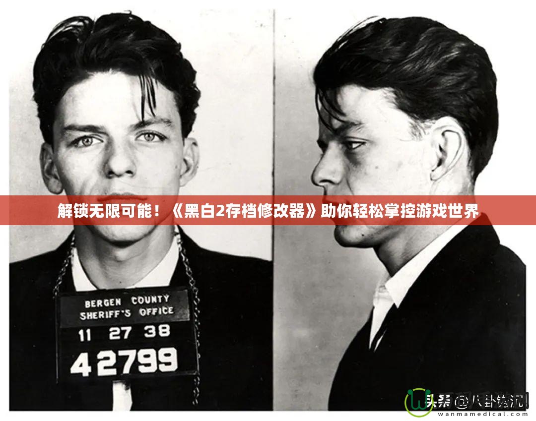 解鎖無限可能！《黑白2存檔修改器》助你輕松掌控游戲世界