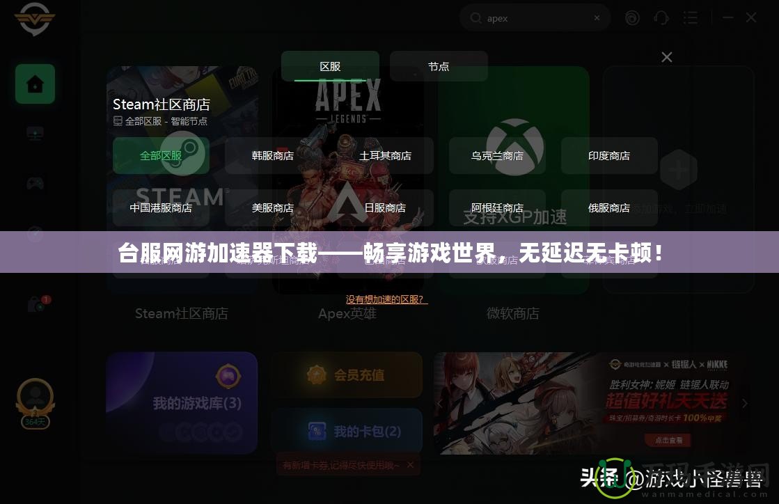 臺服網游加速器下載——暢享游戲世界，無延遲無卡頓！
