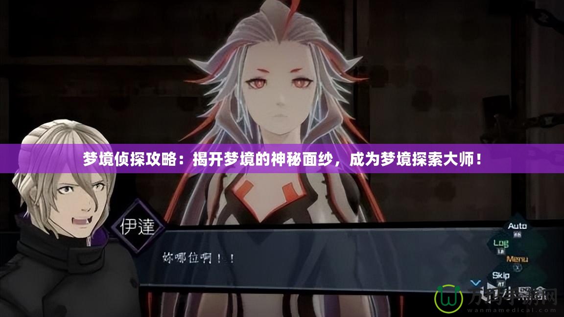 夢(mèng)境偵探攻略：揭開(kāi)夢(mèng)境的神秘面紗，成為夢(mèng)境探索大師！