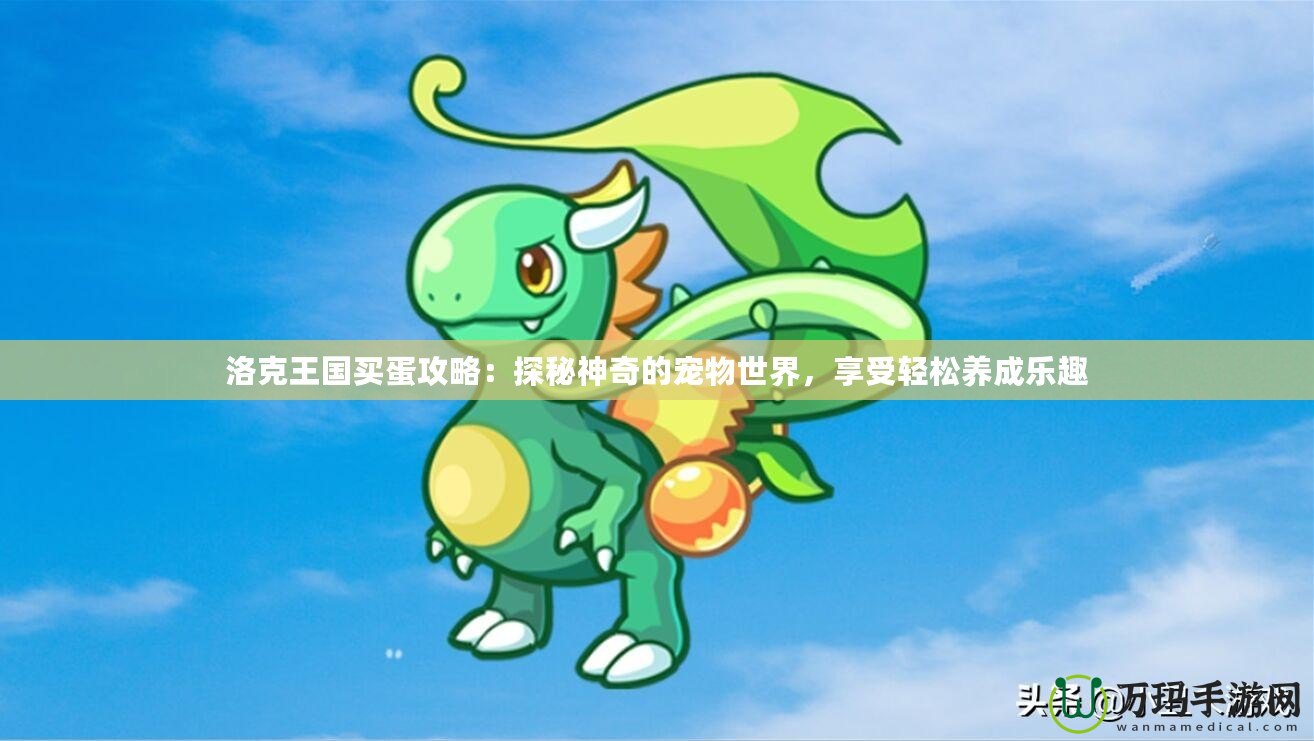 洛克王國買蛋攻略：探秘神奇的寵物世界，享受輕松養(yǎng)成樂趣