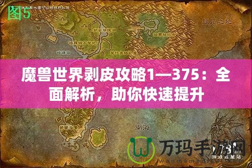 魔獸世界剝皮攻略1—375：全面解析，助你快速提升