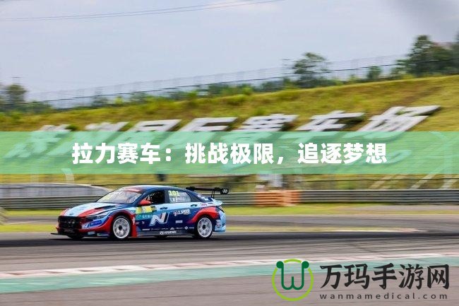拉力賽車：挑戰極限，追逐夢想