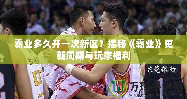 霸業(yè)多久開(kāi)一次新區(qū)？揭秘《霸業(yè)》更新周期與玩家福利