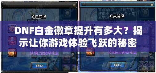 DNF白金徽章提升有多大？揭示讓你游戲體驗飛躍的秘密