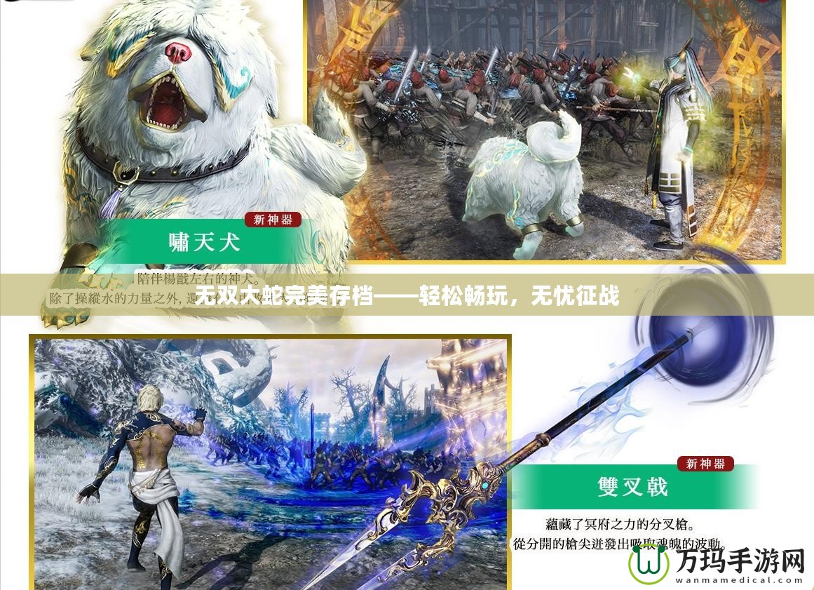 無雙大蛇完美存檔——輕松暢玩，無憂征戰