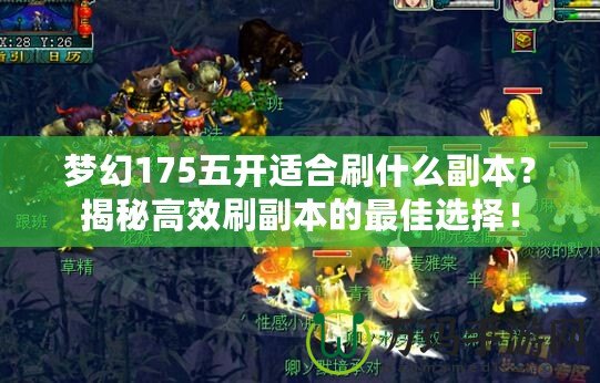 夢幻175五開適合刷什么副本？揭秘高效刷副本的最佳選擇！