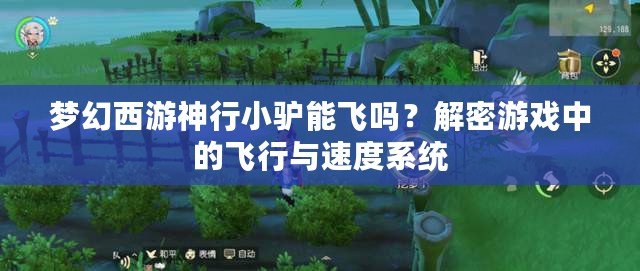 夢幻西游神行小驢能飛嗎？解密游戲中的飛行與速度系統
