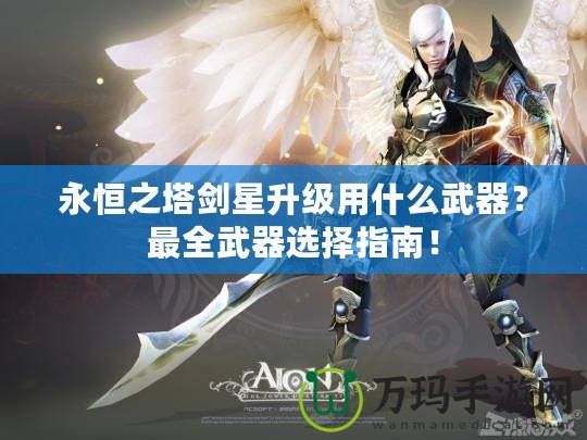 永恒之塔劍星升級用什么武器？最全武器選擇指南！
