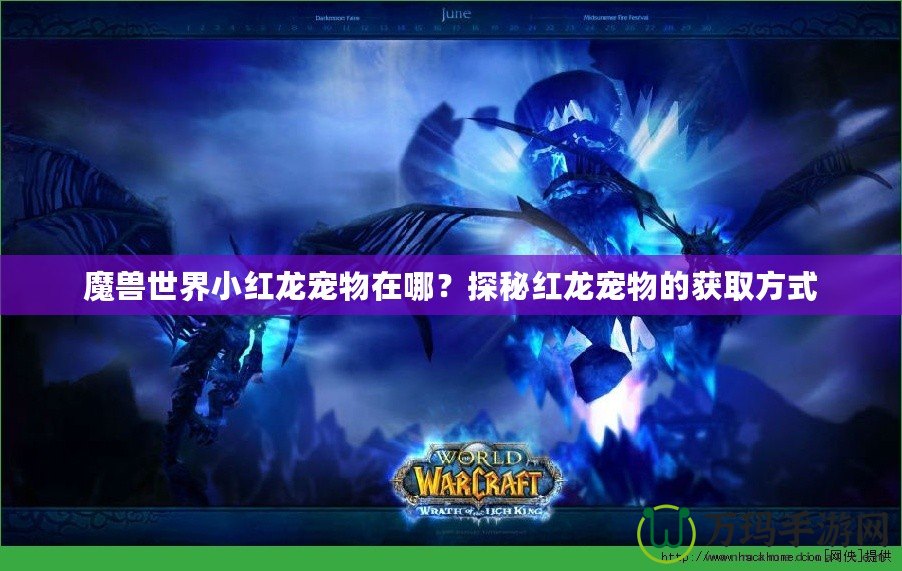 魔獸世界小紅龍寵物在哪？探秘紅龍寵物的獲取方式