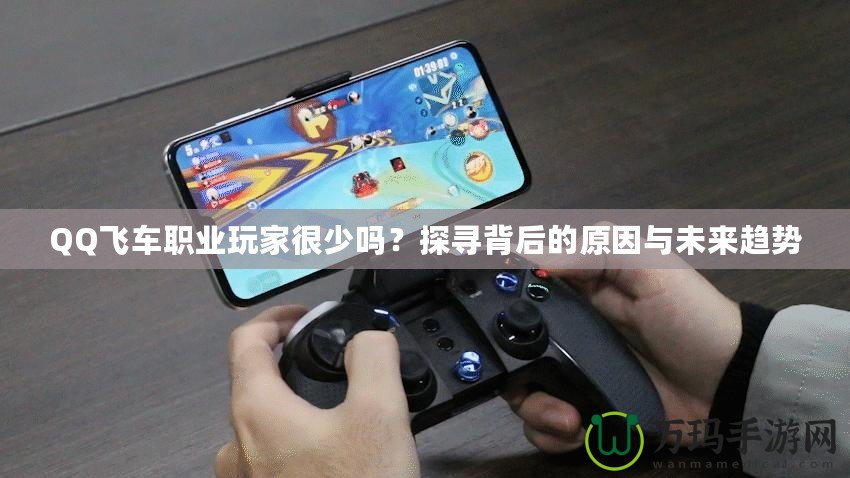QQ飛車職業(yè)玩家很少嗎？探尋背后的原因與未來趨勢(shì)