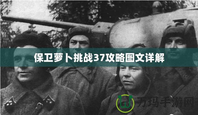 保衛蘿卜挑戰37攻略圖文詳解