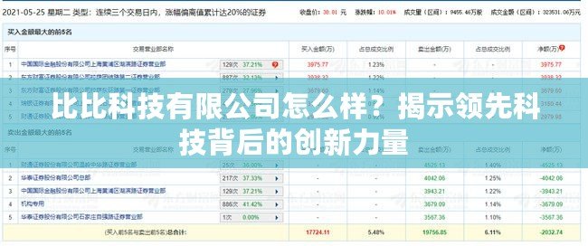 比比科技有限公司怎么樣？揭示領先科技背后的創新力量