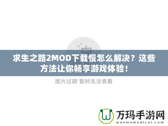 求生之路2MOD下載慢怎么解決？這些方法讓你暢享游戲體驗！