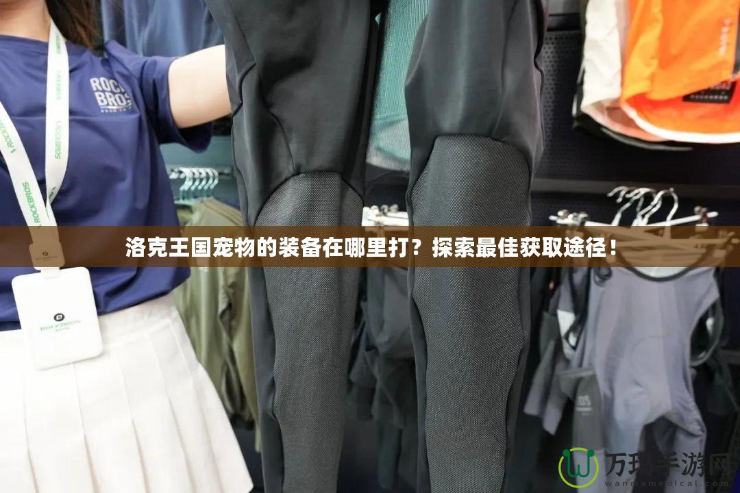 洛克王國寵物的裝備在哪里打？探索最佳獲取途徑！