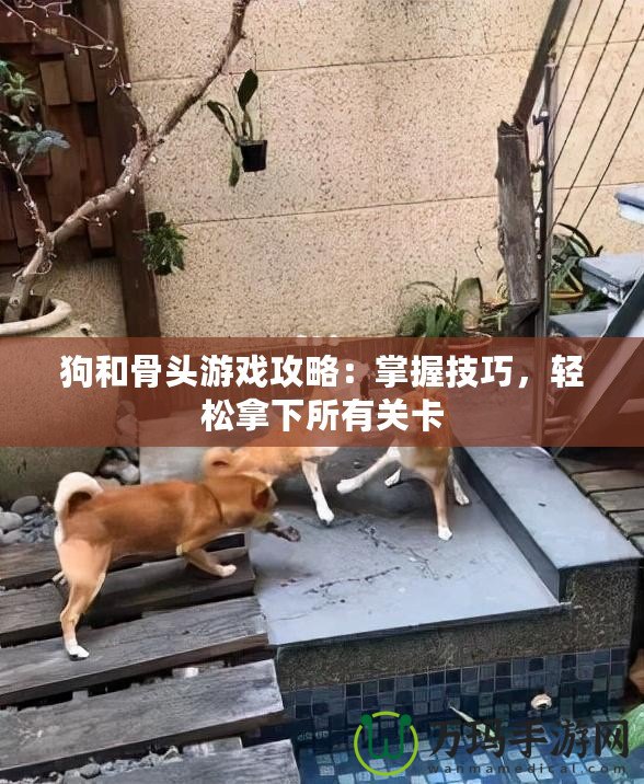 狗和骨頭游戲攻略：掌握技巧，輕松拿下所有關卡