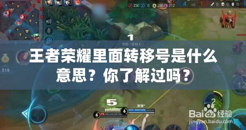 王者榮耀里面轉(zhuǎn)移號是什么意思？你了解過嗎？