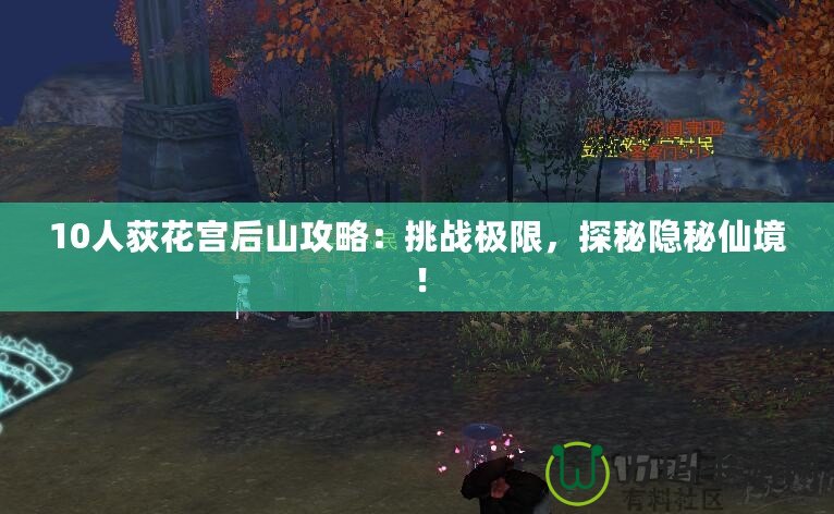 10人荻花宮后山攻略：挑戰極限，探秘隱秘仙境！