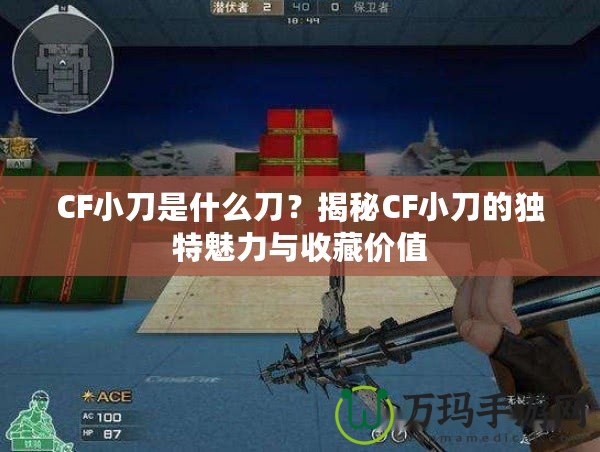 CF小刀是什么刀？揭秘CF小刀的獨特魅力與收藏價值