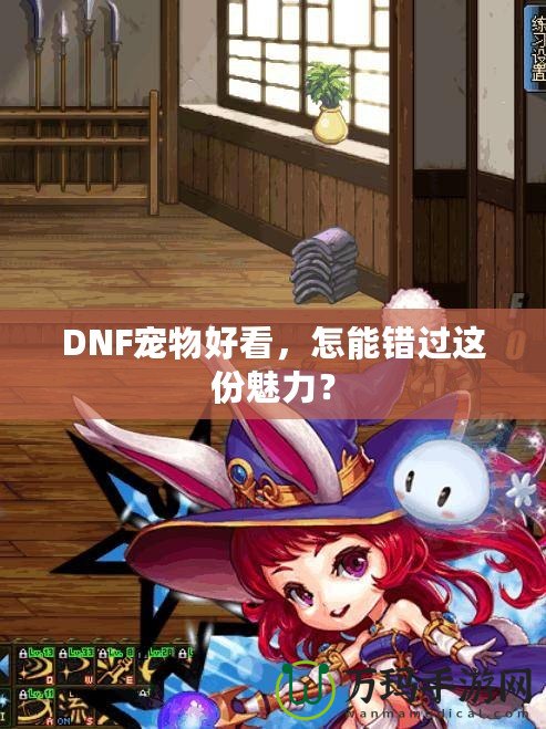 DNF寵物好看，怎能錯過這份魅力？
