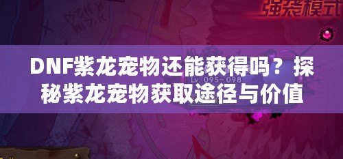 DNF紫龍寵物還能獲得嗎？探秘紫龍寵物獲取途徑與價值
