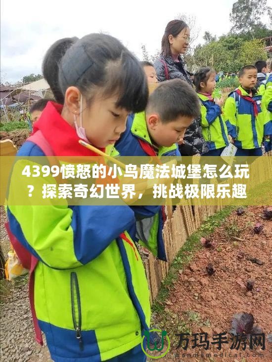 4399憤怒的小鳥魔法城堡怎么玩？探索奇幻世界，挑戰極限樂趣！