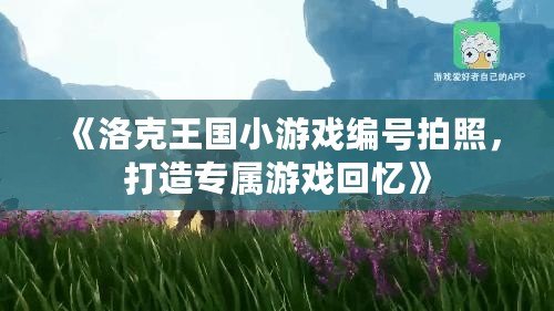 《洛克王國小游戲編號拍照，打造專屬游戲回憶》