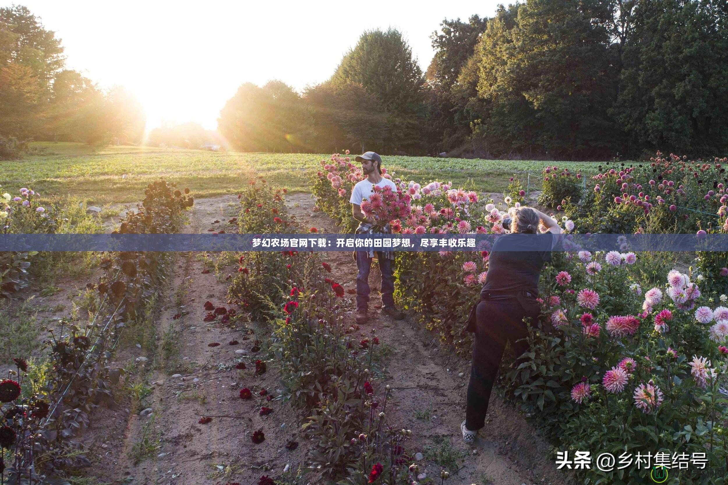 夢幻農場官網下載：開啟你的田園夢想，盡享豐收樂趣
