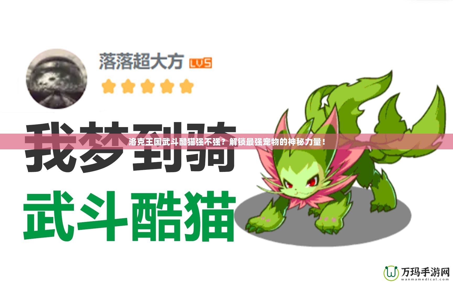 洛克王國武斗酷貓強(qiáng)不強(qiáng)？解鎖最強(qiáng)寵物的神秘力量！