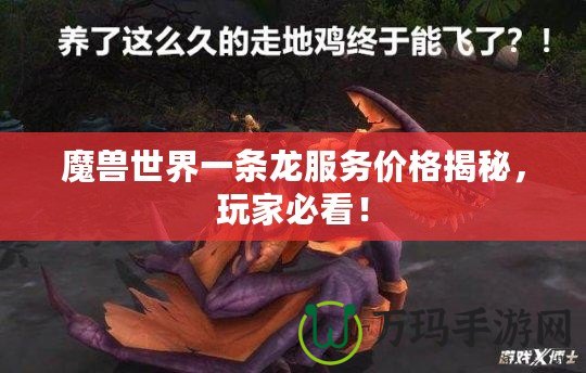 魔獸世界一條龍服務價格揭秘，玩家必看！