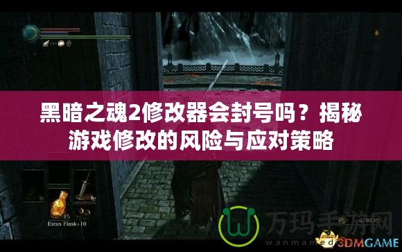 黑暗之魂2修改器會(huì)封號(hào)嗎？揭秘游戲修改的風(fēng)險(xiǎn)與應(yīng)對(duì)策略