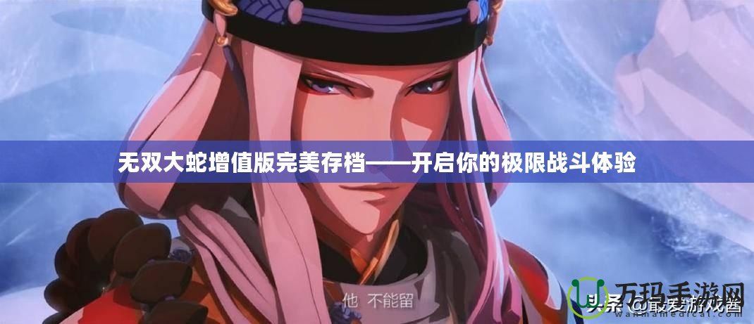 無雙大蛇增值版完美存檔——開啟你的極限戰斗體驗