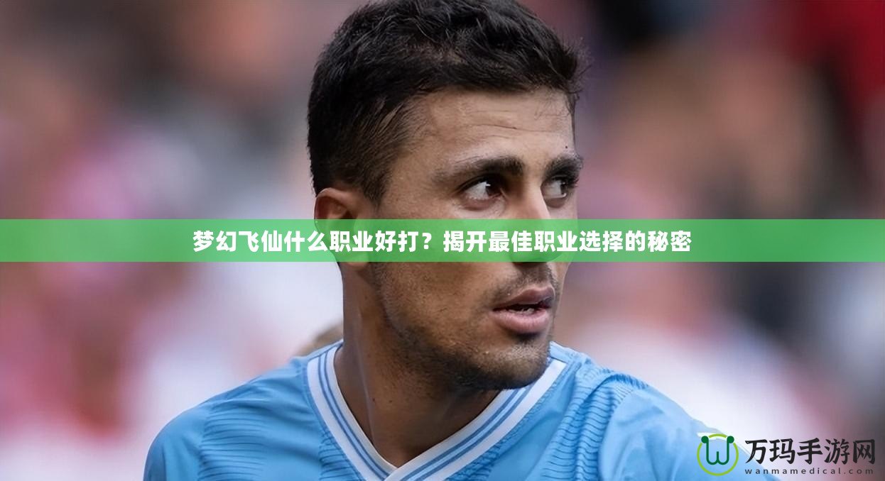 夢幻飛仙什么職業好打？揭開最佳職業選擇的秘密