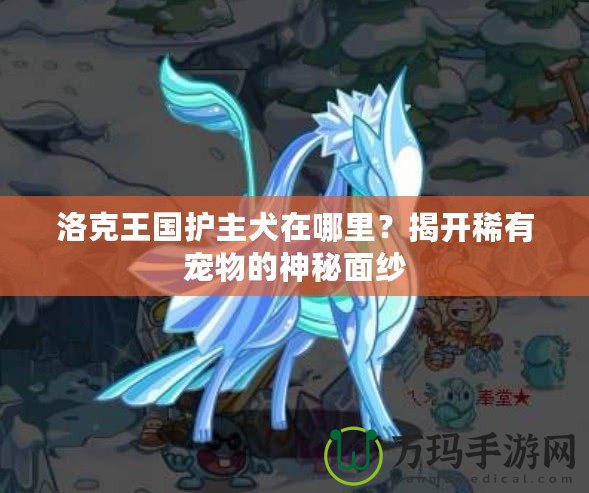 洛克王國護主犬在哪里？揭開稀有寵物的神秘面紗