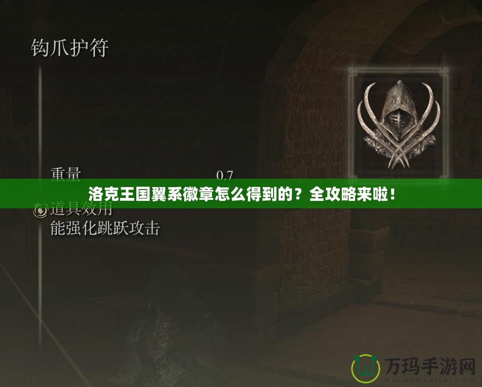 洛克王國翼系徽章怎么得到的？全攻略來啦！