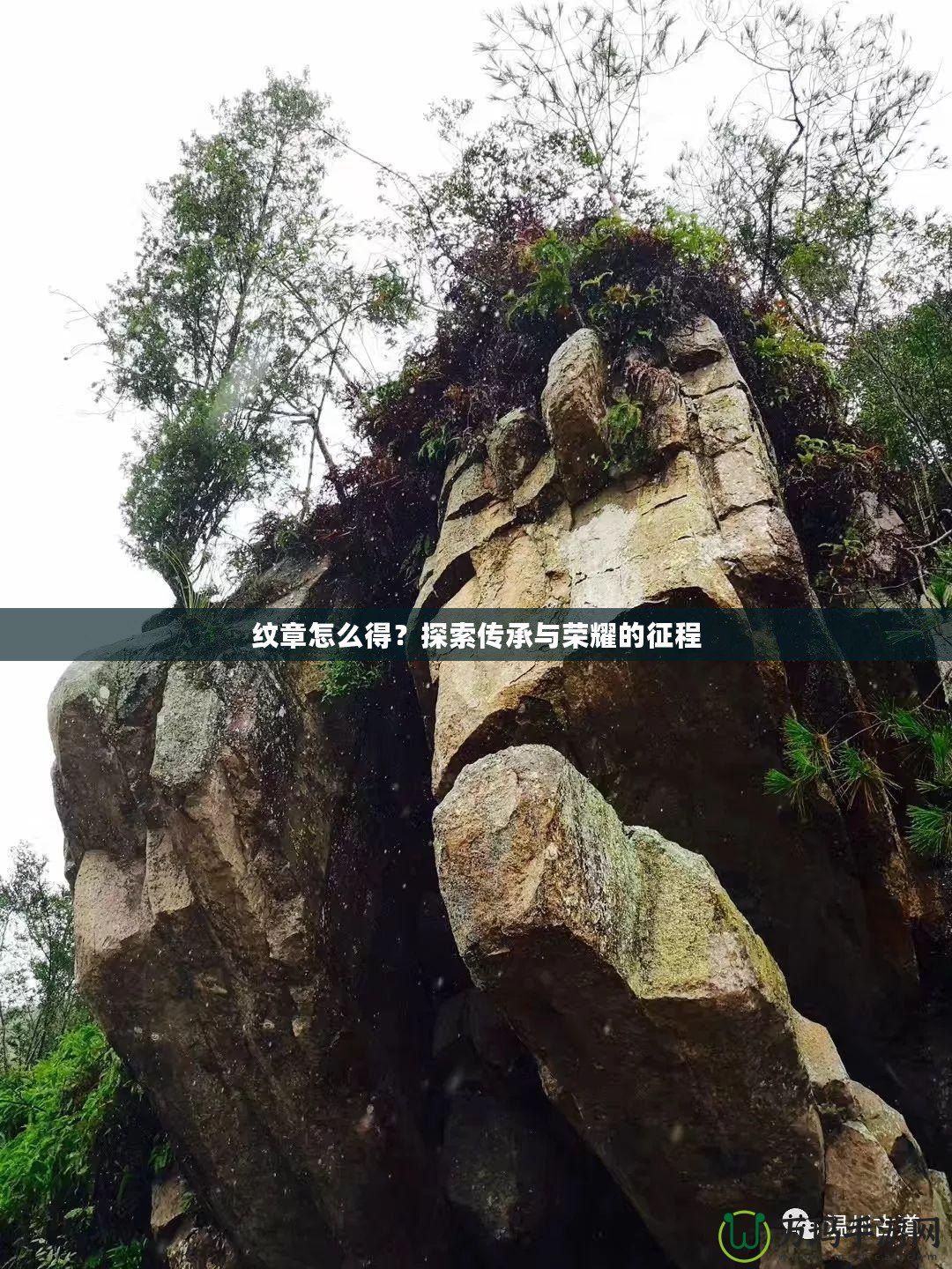 紋章怎么得？探索傳承與榮耀的征程