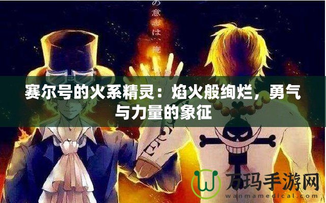 賽爾號的火系精靈：焰火般絢爛，勇氣與力量的象征