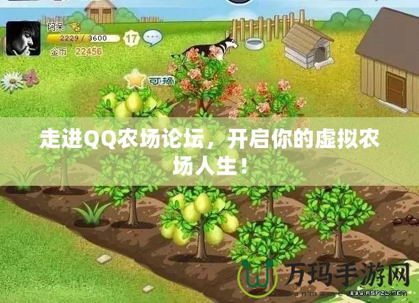 走進QQ農場論壇，開啟你的虛擬農場人生！